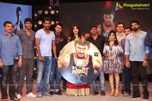 Pooja Audio Release