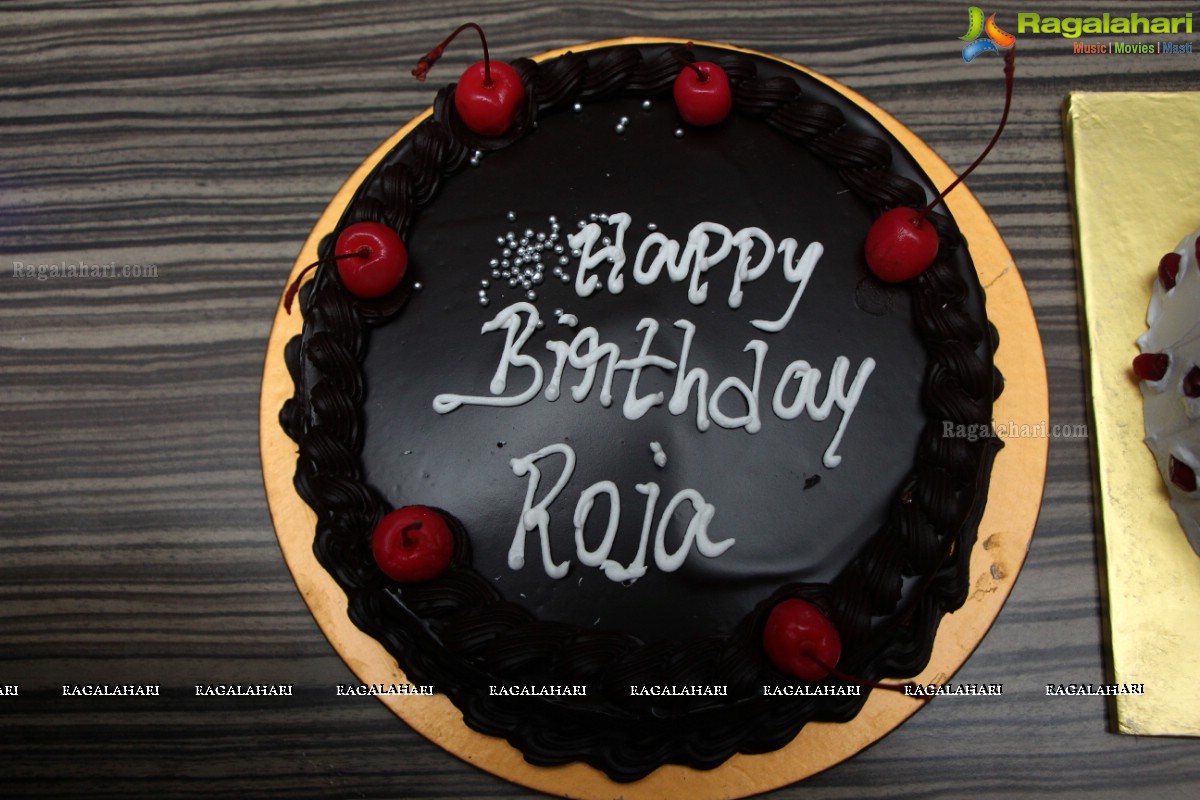 Roja Komaravolu Birthday Bash 2014
