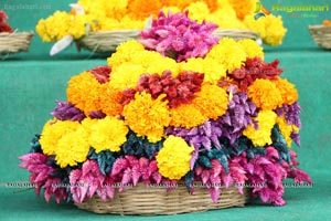 Bathukamma 2014