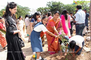 FICCI-Young Ladies Organization Go Green Hyderabad