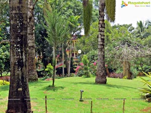 Golden Buddha Coorg