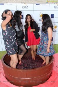 Grape Stomping