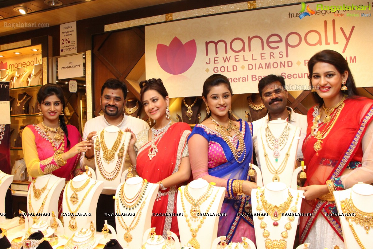 Manepally Jewellers Dhanteras 2014 Special Jewellery Exhibition