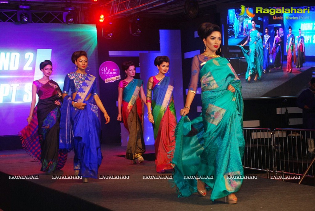 Happy New Year Team at Palam Silks Fashion Show 2014