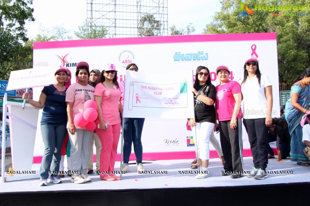 Pink Ribbon Walk