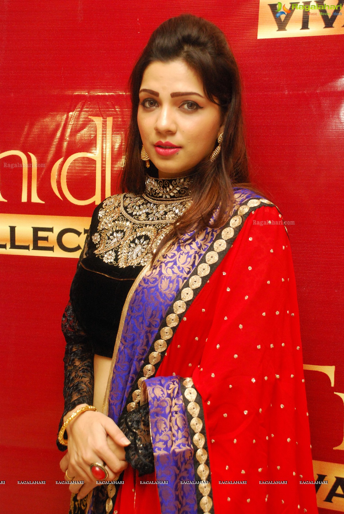 Trendz Vivah Collection 2014 Exhibition by Mrs. Santhi Kathiravan