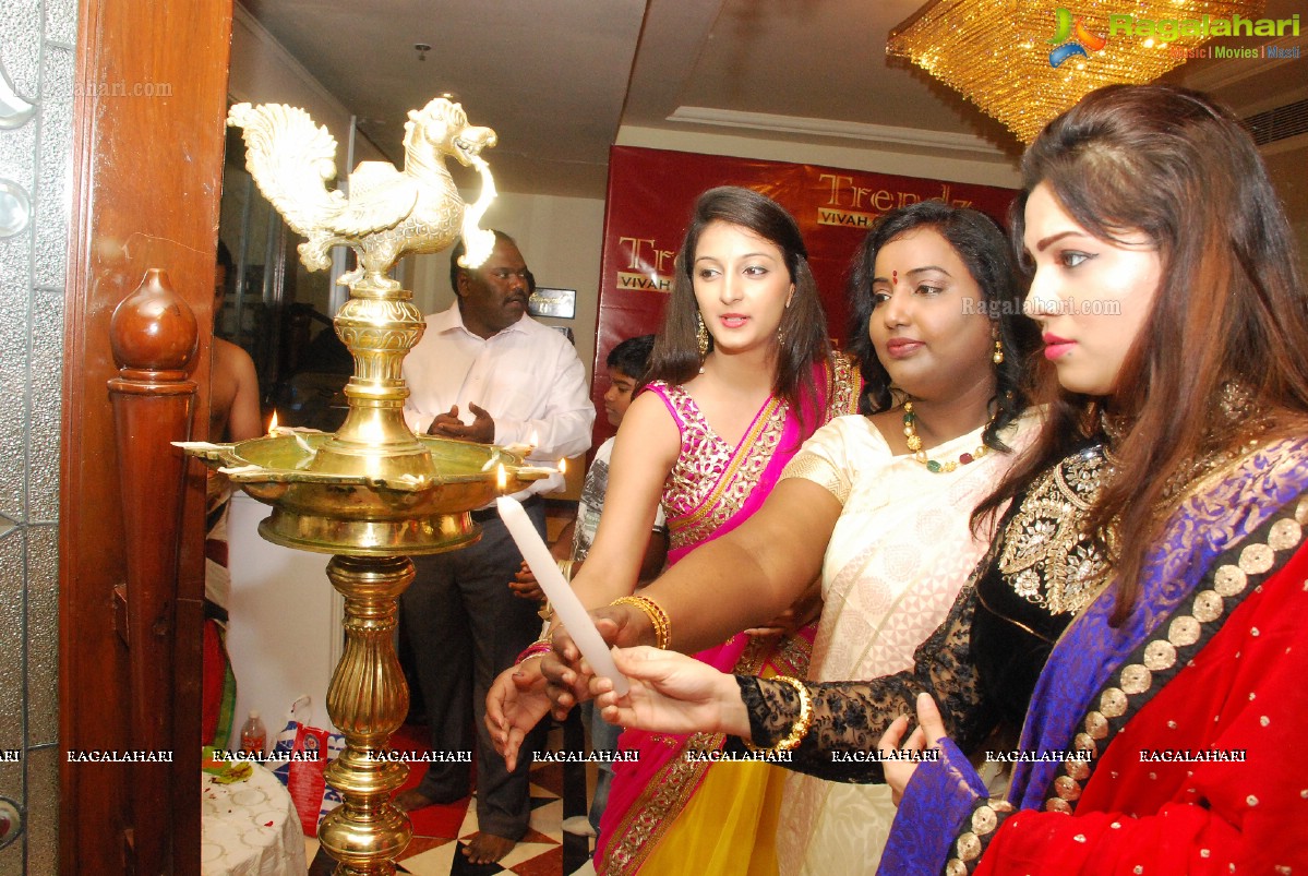 Trendz Vivah Collection 2014 Exhibition by Mrs. Santhi Kathiravan