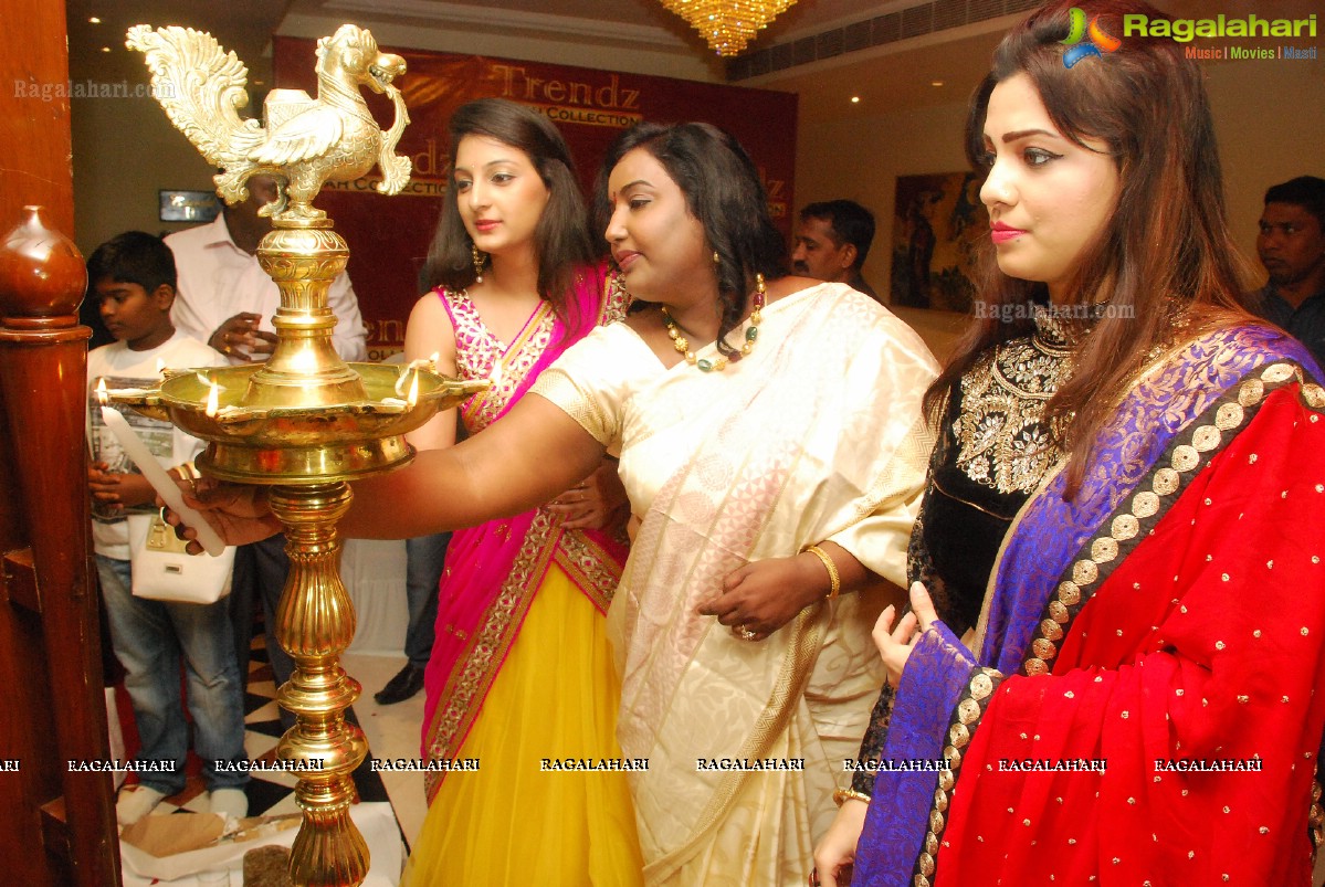 Trendz Vivah Collection 2014 Exhibition by Mrs. Santhi Kathiravan