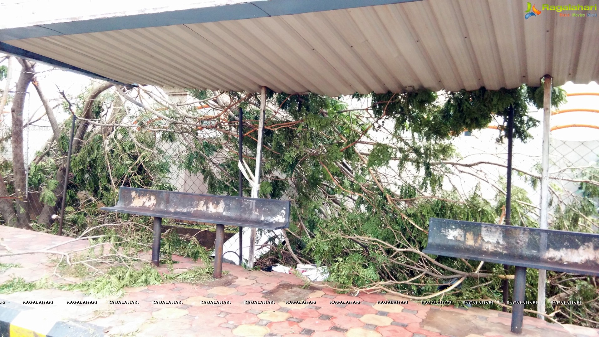 Hudhud Cyclone in Visakhapatnam