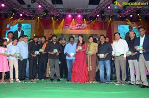 Bruce Lee Audio Release