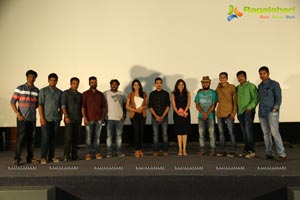 Nenu Naa Bhanu Premiere Show 