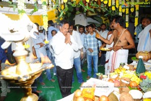 NTR-Koratala Siva-Mythri Movies