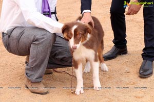 Andhra Pradesh Kennel Club