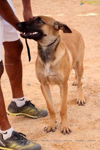 Andhra Pradesh Kennel Club