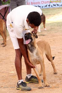 Andhra Pradesh Kennel Club