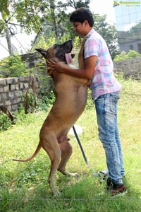 Andhra Pradesh Kennel Club