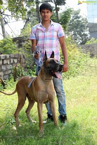 Andhra Pradesh Kennel Club