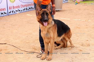 Andhra Pradesh Kennel Club