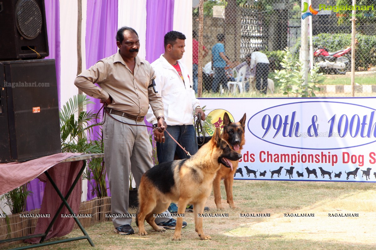 Andhra Pradesh Kennel Club - Hyderabad Dog Show 2015