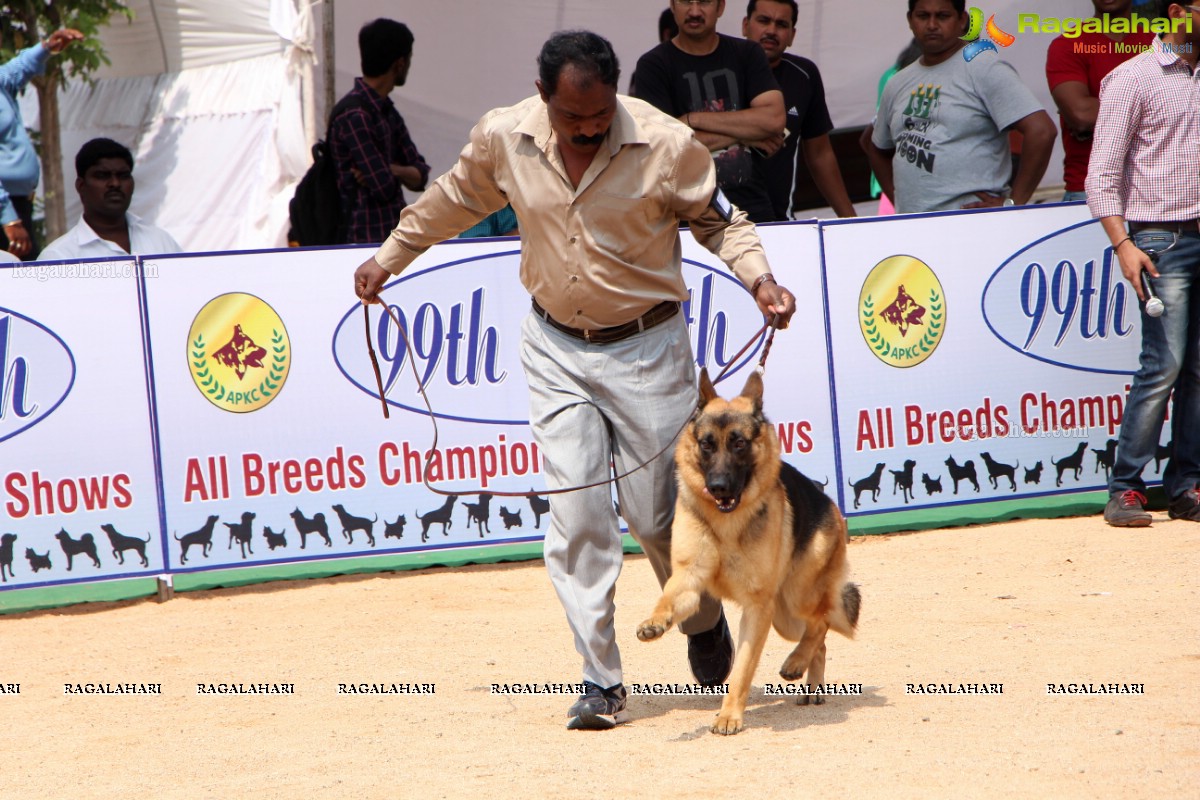 Andhra Pradesh Kennel Club - Hyderabad Dog Show 2015