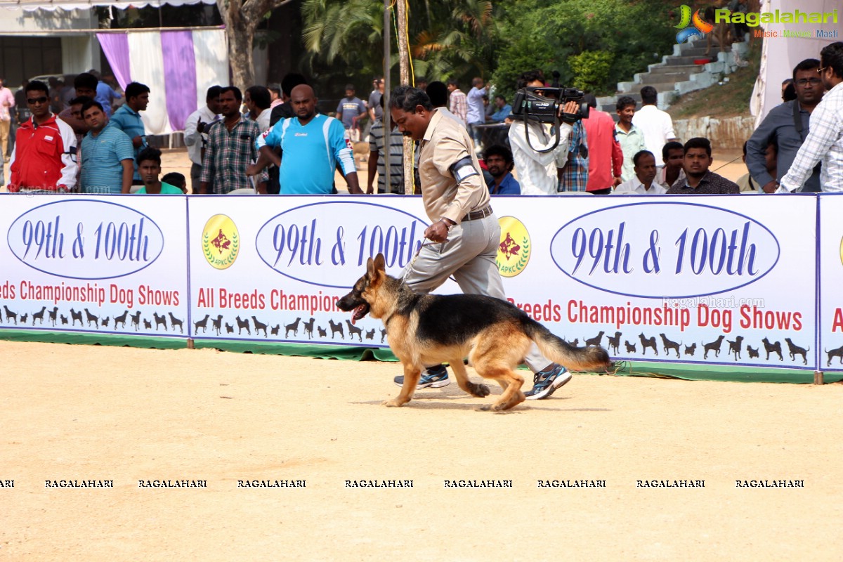 Andhra Pradesh Kennel Club - Hyderabad Dog Show 2015