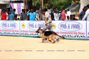 Andhra Pradesh Kennel Club