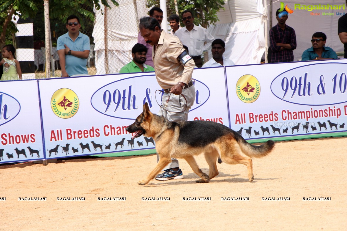 Andhra Pradesh Kennel Club - Hyderabad Dog Show 2015