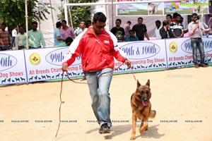 Andhra Pradesh Kennel Club