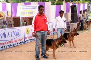 Andhra Pradesh Kennel Club