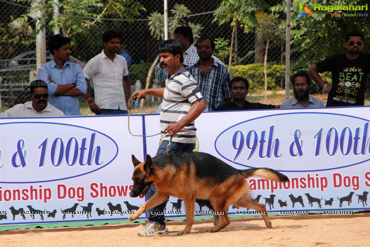 Andhra Pradesh Kennel Club - Hyderabad Dog Show 2015