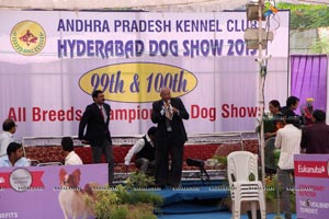 Andhra Pradesh Kennel Club