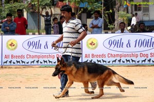 Andhra Pradesh Kennel Club