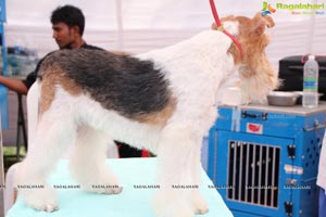 Andhra Pradesh Kennel Club