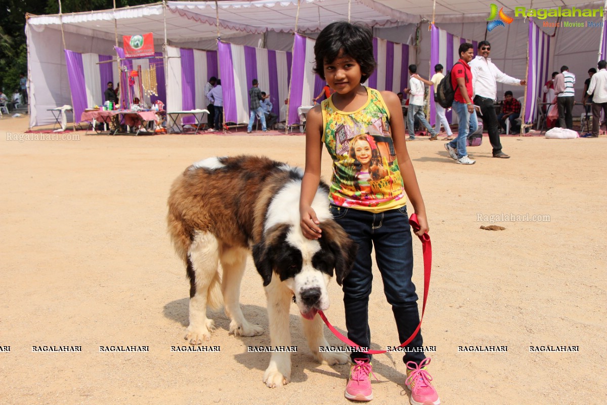 Andhra Pradesh Kennel Club - Hyderabad Dog Show 2015