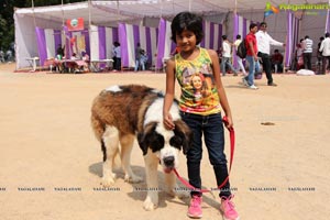 Andhra Pradesh Kennel Club