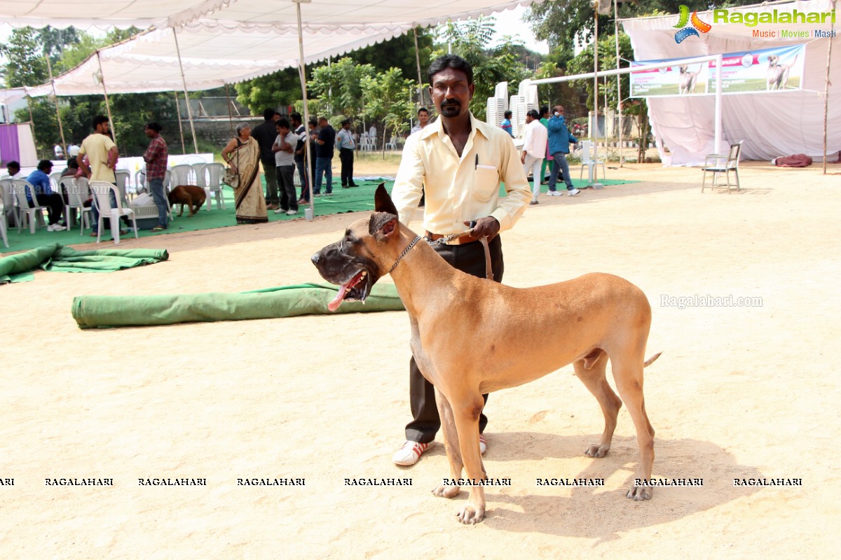 Andhra Pradesh Kennel Club - Hyderabad Dog Show 2015