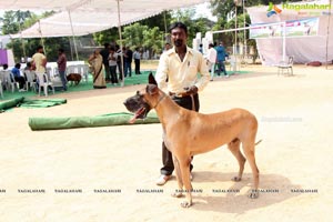 Andhra Pradesh Kennel Club