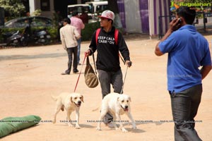 Andhra Pradesh Kennel Club