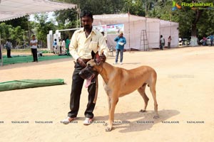 Andhra Pradesh Kennel Club