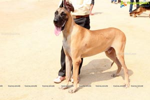 Andhra Pradesh Kennel Club