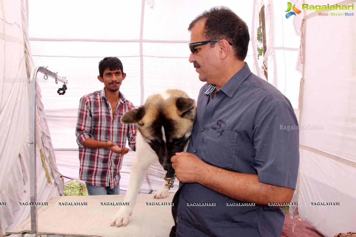 Andhra Pradesh Kennel Club - Hyderabad Dog Show 2015