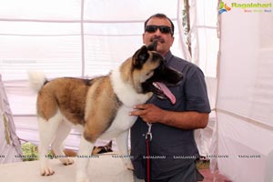 Andhra Pradesh Kennel Club