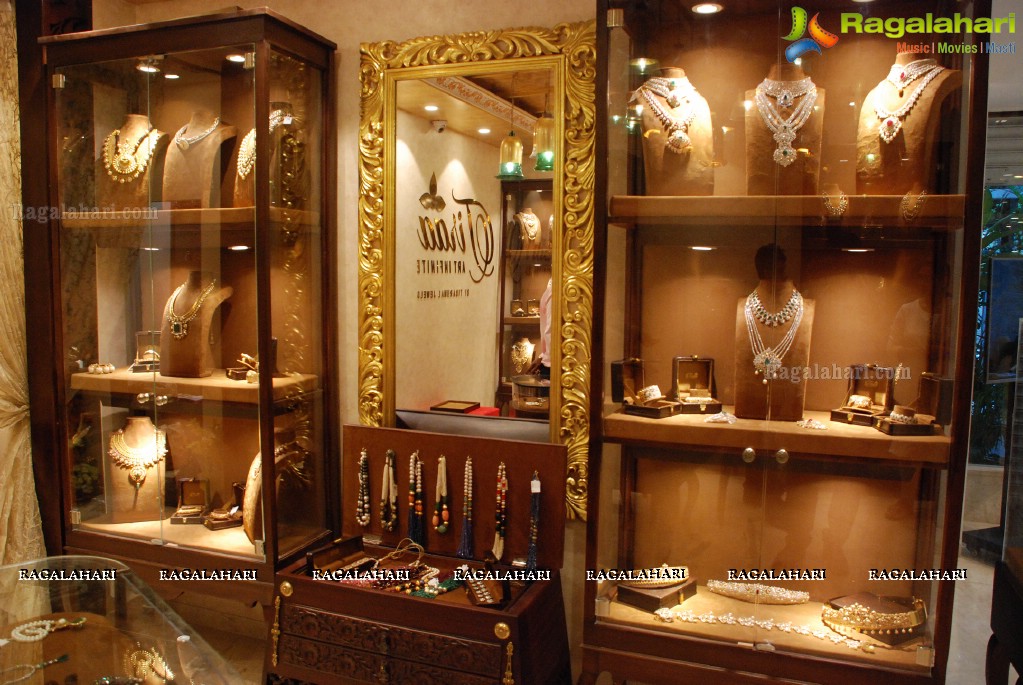 Exclusive Men's Wear and Exquisite Jewelry Line Launch at Angasutra, Hyderabad