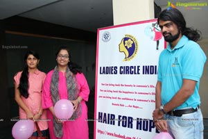 Ladies Circle India