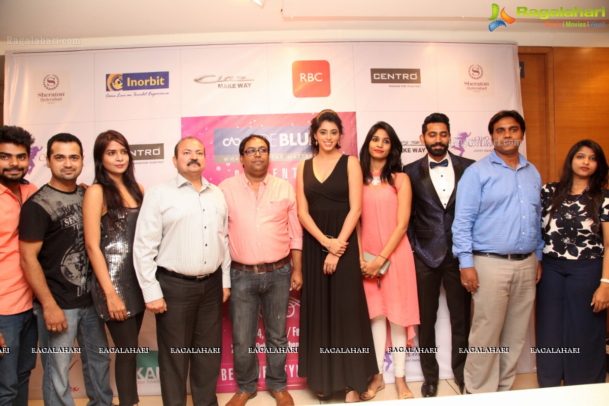 Hyderabad Fashion Week 2015 Curtain Raiser