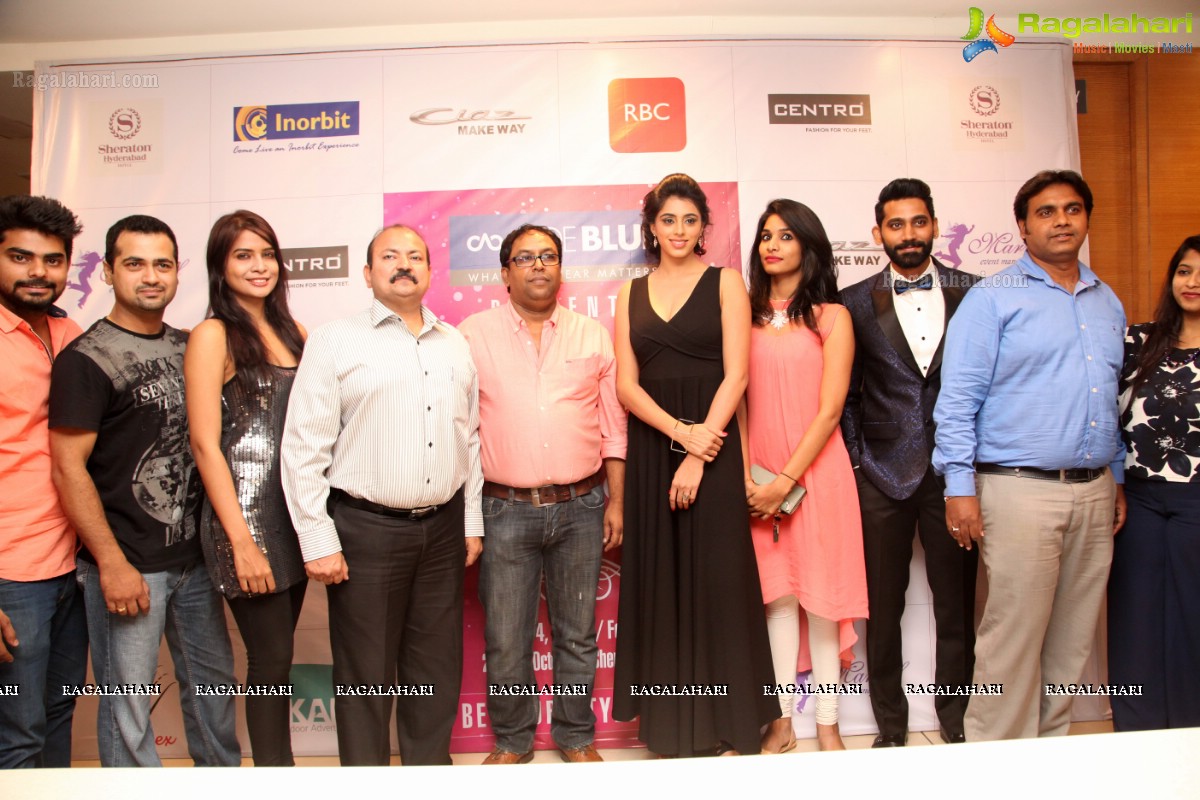 Hyderabad Fashion Week 2015 Curtain Raiser