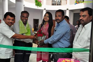 Pochampally IKAT Art Mela Launch