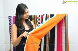 Pochampally IKAT Art Mela Launch