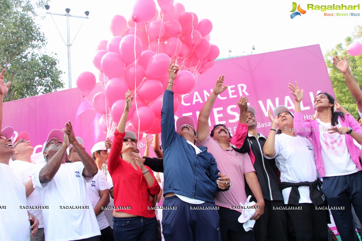 Balakrishna and Anjali at Pink Ribbon Breast Cancer Awareness Walk at KBR Park, Hyderabad