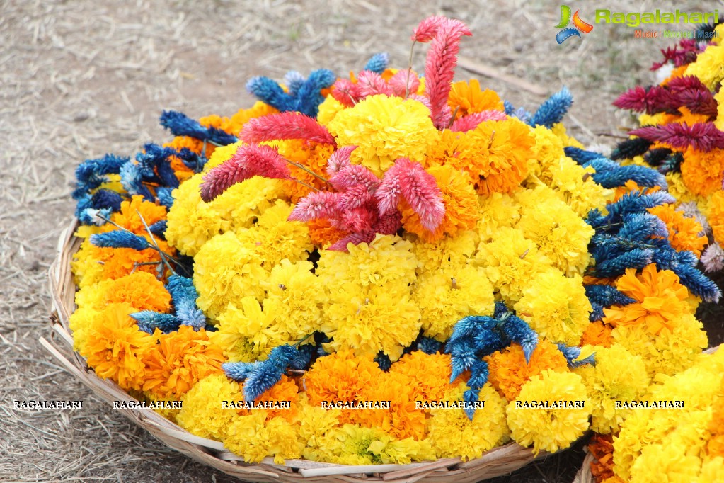 Hyderabad Bathukamma Celebrations 2015